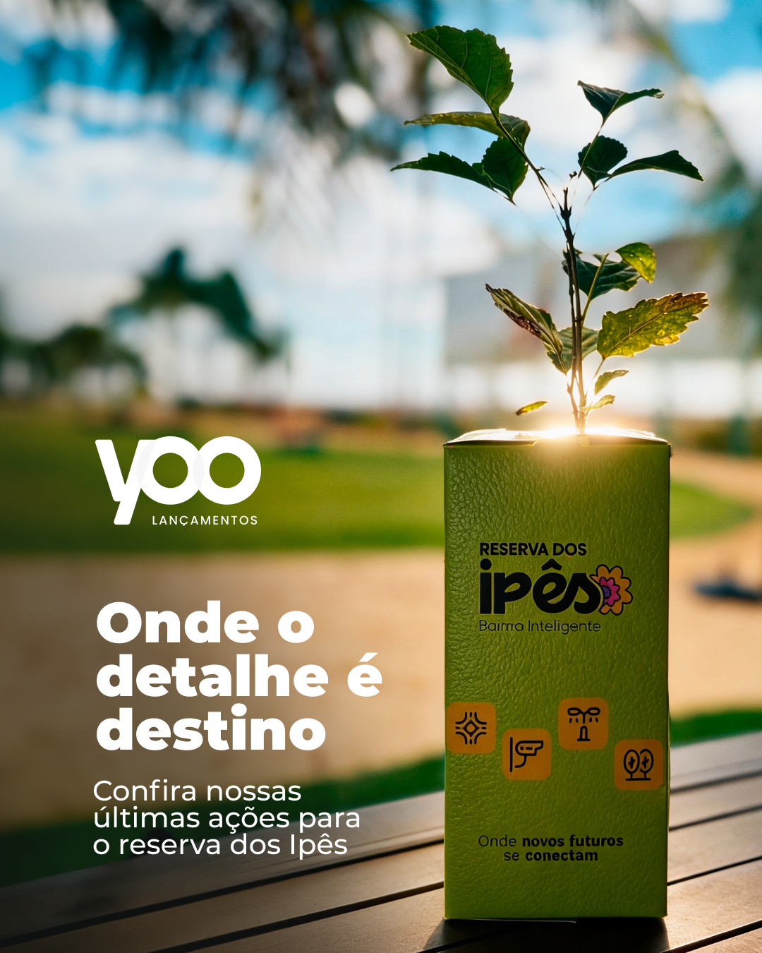 DETALHES - SLIDE 1